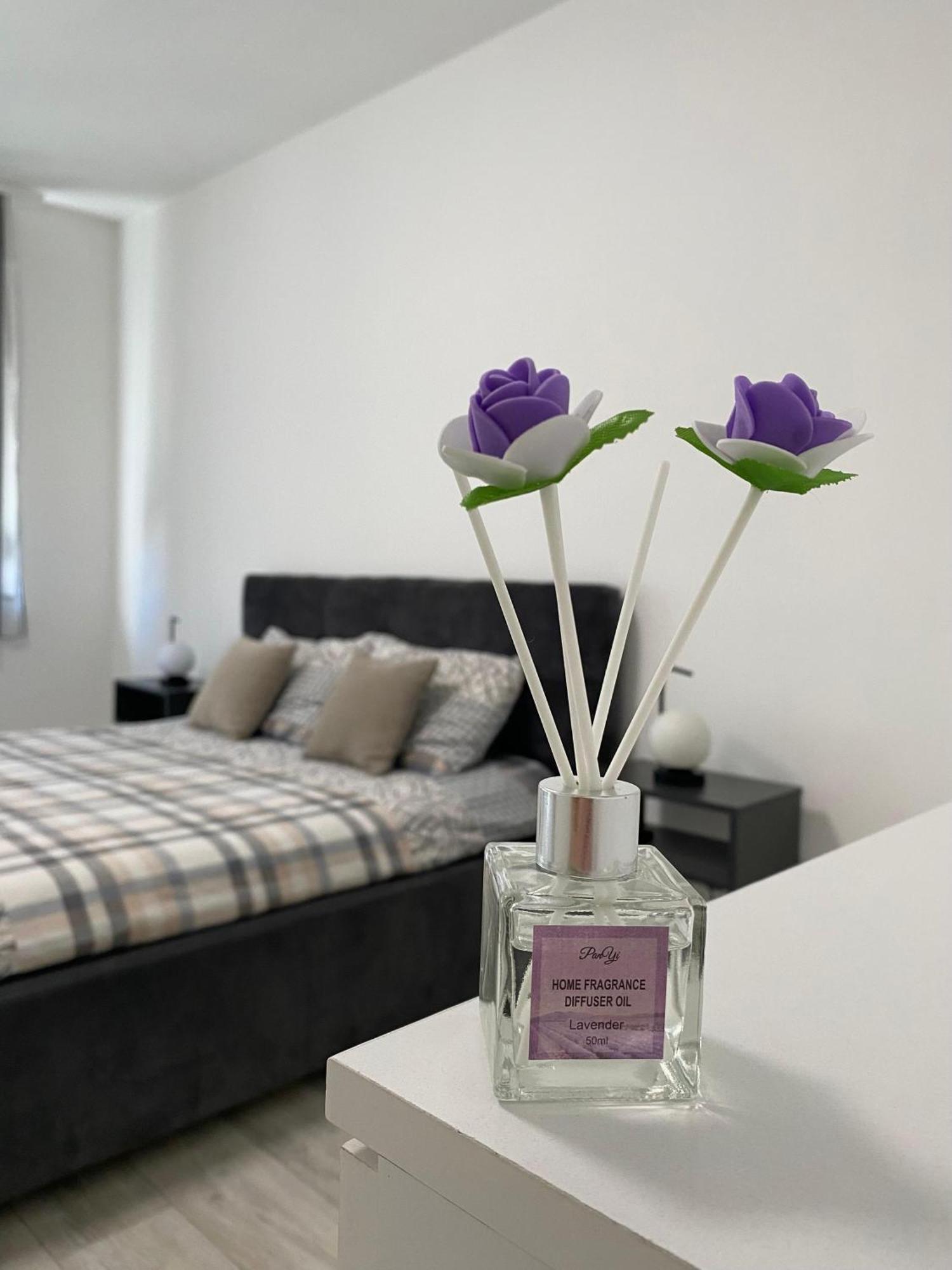 Grand Royal Apartment เบลเกรด ภายนอก รูปภาพ